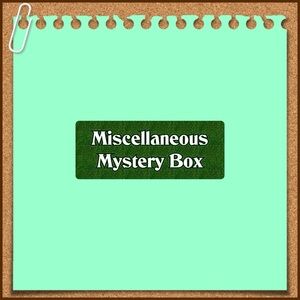 Miscellaneous Mystery Box - 📦